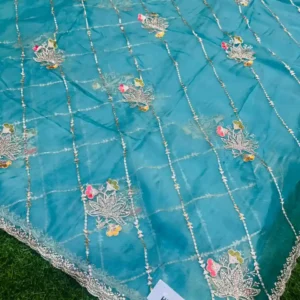 Premium quality Party Wear Saree With Blouse piece