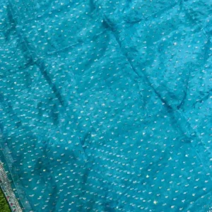 Premium quality Tissue Chiffon Party Wear Saree With Blouse piece