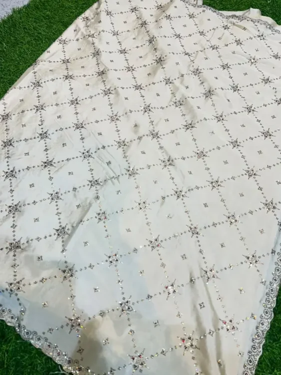 Soft quality Chiffon Party Wear Saree With Blouse piece